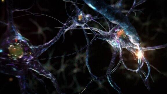 在神经元细胞网络内的旅程蓝色的