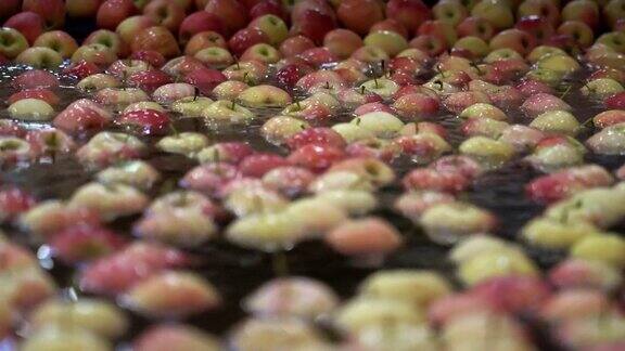 水果加工厂的新鲜苹果清洗-货架焦点