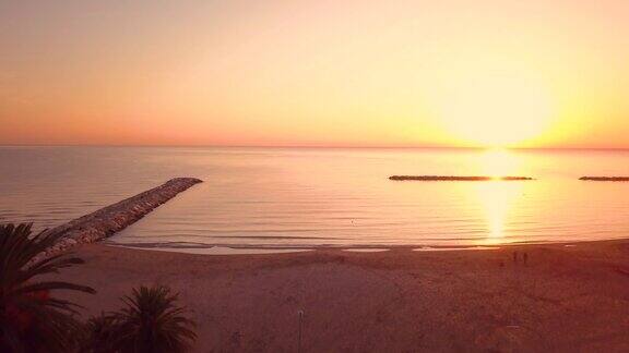 清晨日出海面上的风景棕榈树的剪影
