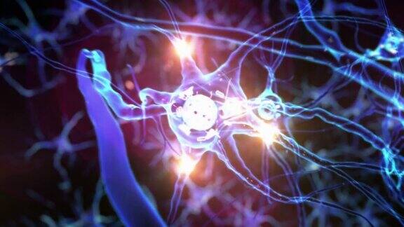 穿过神经元细胞突触网络Tecno蓝色Loopable大脑