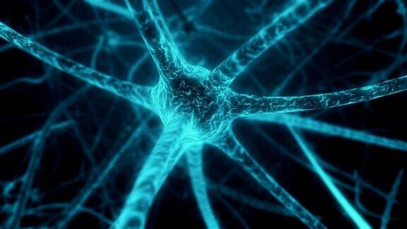 人神经组织神经元细胞中的突触