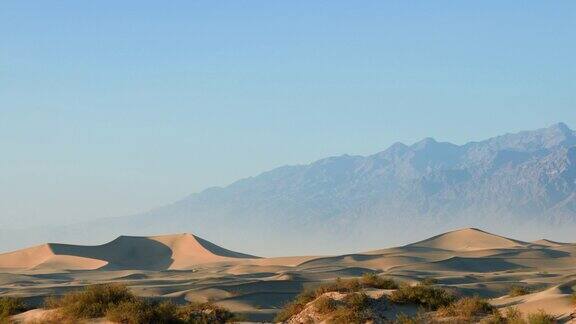 加州死亡谷国家公园的牧豆树平坦沙丘