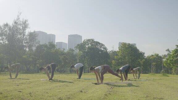 一组六人混合年龄的人在城市的公共公园做瑜伽姿势叫眼镜蛇姿势健身运动瑜伽和健康的生活方式概念