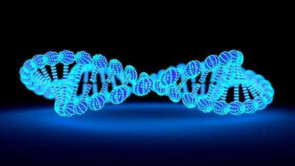 DNA链在循环循环旋转3D动画