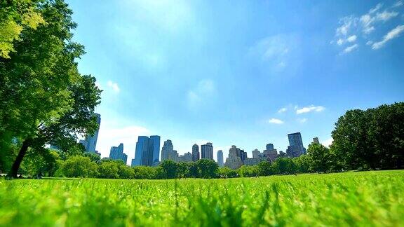纽约中央公园:时光流逝