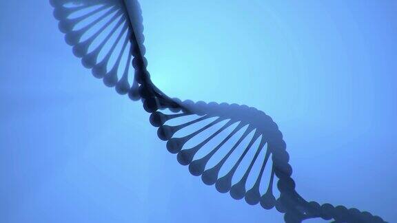 3D渲染循环动画的DNA螺旋旋转在蓝色的背景