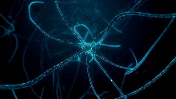 神经元性人体组织神经元细胞中突触过程中的神经元