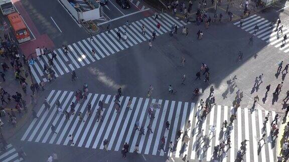 东京有4k人过马路