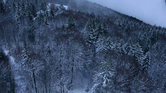 日内瓦附近的萨里夫下雪了