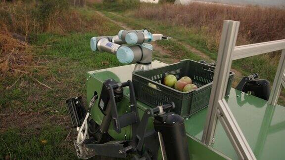 自动驾驶农业机器人运送装有苹果的板条箱