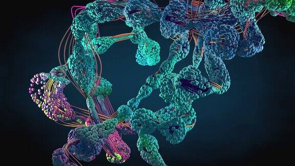 氨基酸链或生物分子称为蛋白质-三维插图