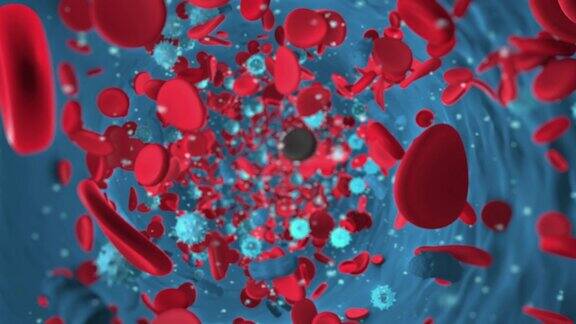 血液中的红细胞和病毒细胞