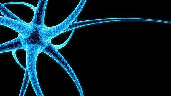 神经细胞的医学精确动画的3d渲染