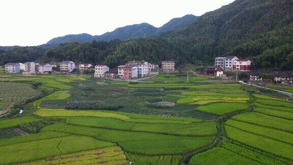 多云天的绿地和村庄鸟瞰图