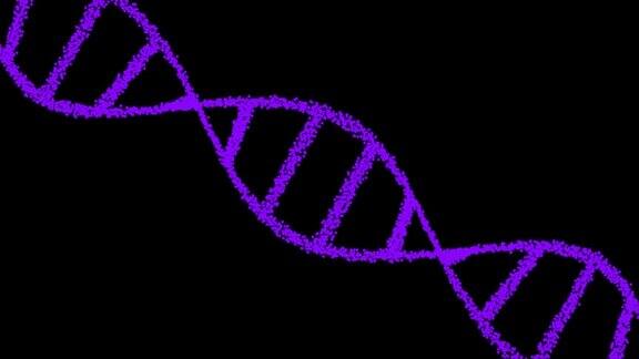 由黑色背景上的粒子组成的DNA二维动画60fps这个物体是斜的