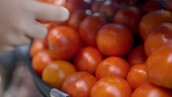 选择颜色新鲜、没有淤青的西红柿