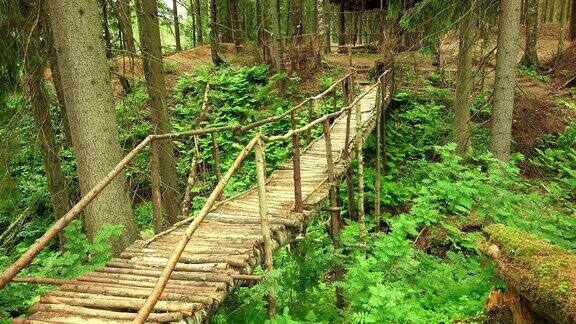 森林中悬崖上的木桥4k