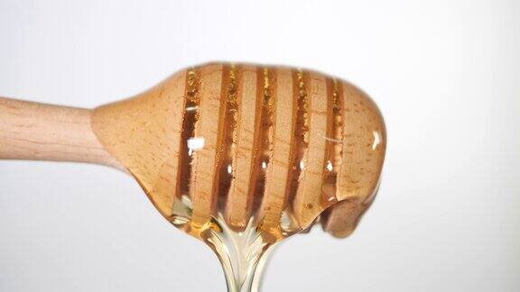 蜂蜜滴入勺子以蜂蜜和白色背景