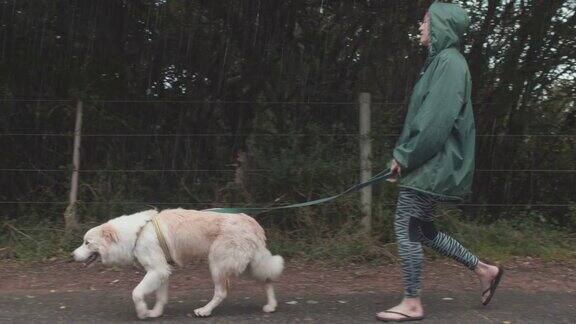 雨中遛狗的女人