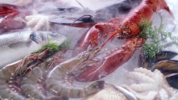 4K超高清多莉前进:各种豪华新鲜海鲜龙虾鲑鱼鲭小龙虾虾章鱼贻贝和扇贝在冰背景与冰冻的冰烟新鲜冷冻海鲜冰和零售市场概念