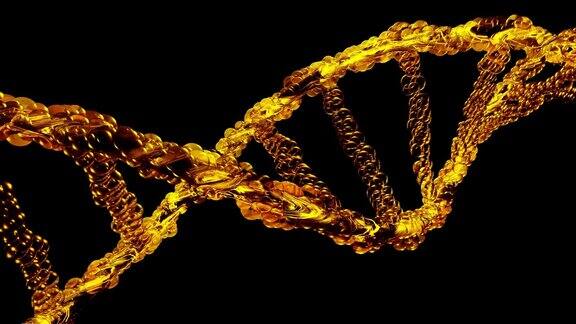 DNA双螺旋金黄色在黑色背景上透明教育科学背景科学与遗传信息概念设计