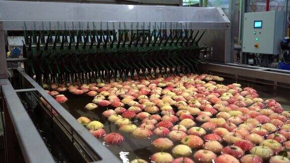 水果包装仓库水箱输送机上漂浮、清洗和运输的苹果