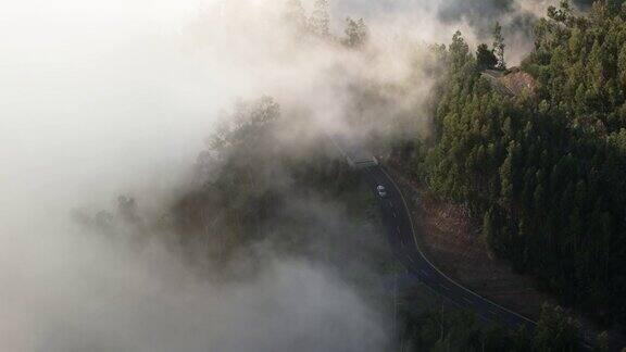 葡萄牙马德拉岛在树林和云雾之间的山间汽车行驶在美丽的U形公路上