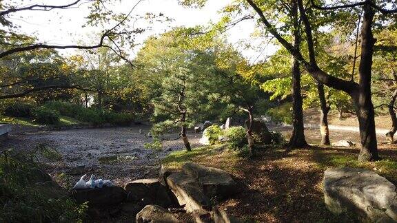 日本东京的安石公园秋色缤纷