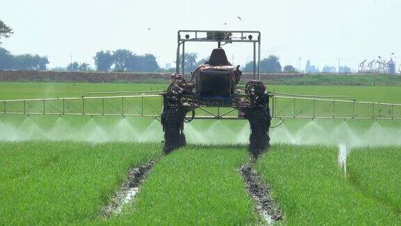 在稻田里喷洒农药的机械