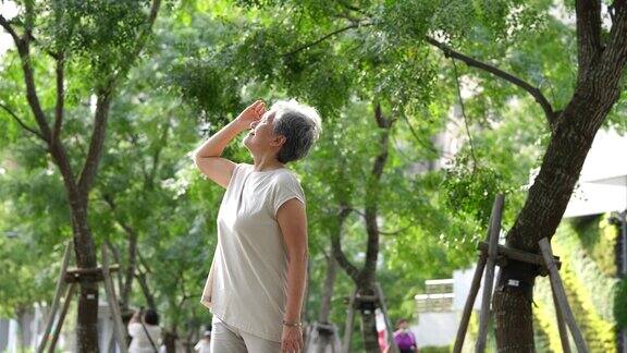 退休老妇人在公园慢跑健身