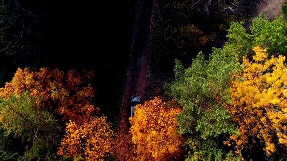 大气的公路探险鸟瞰图黑色汽车行驶在黄色的秋天森林树木在乡村道路上