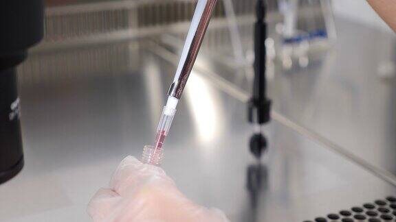 计划生育诊所现代科学实验室胚胎超低温保存生殖学家医生在实验室操作时使用移液管医生从烧瓶中取出生物材料4k