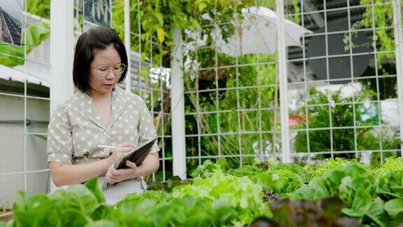 亚洲女商人用平板检查有机菜地小企业主