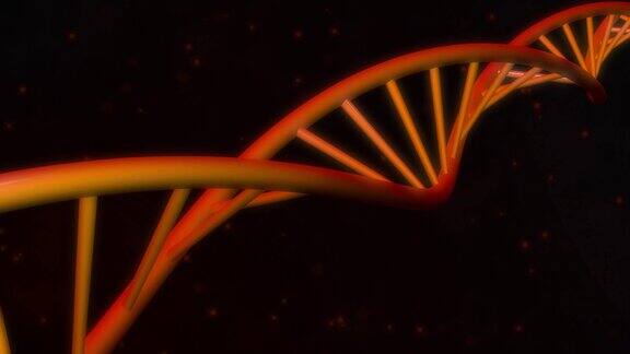 DNA背景环