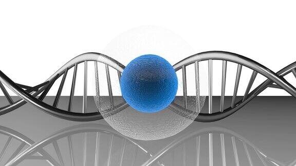 克隆和人类基因操纵分子生物化学研究技术3D渲染