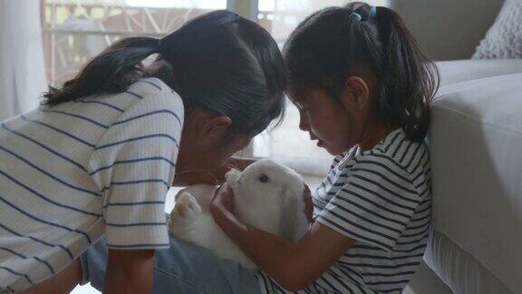 两个亚洲女孩在客厅里一起给他们的宠物兔子喂药液