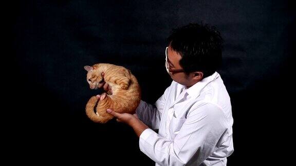 男兽医携带和玩猫照顾