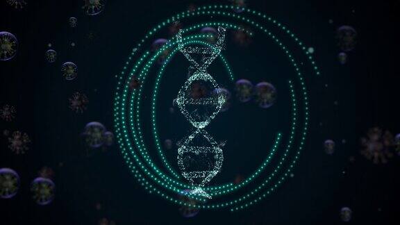 人类dna在发光的圆圈内旋转保护它免受病毒的侵害