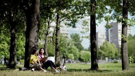 两名亚裔和白人女大学生坐在树下倚着树干一起看书一起讨论