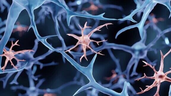 小胶质细胞脑细胞