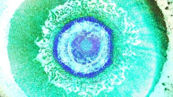 通过显微镜看到的变异蓝细菌细胞医学研究背景