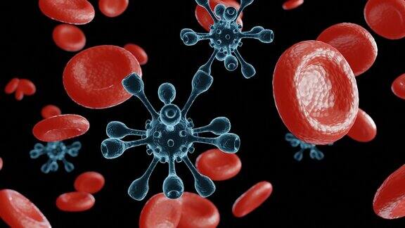 血液中的视频红细胞和病毒