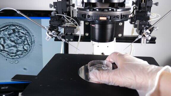 胚胎学家在胚胎低温保存准备过程中的实验室操作计划生育诊所现代科学实验室胚胎超低温保存4k的视频