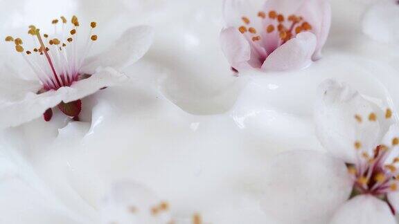 白色奶油质地带有樱桃花香