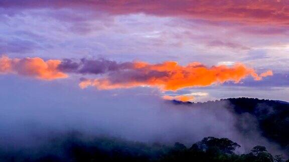 云和雾笼罩在雨林树山顶