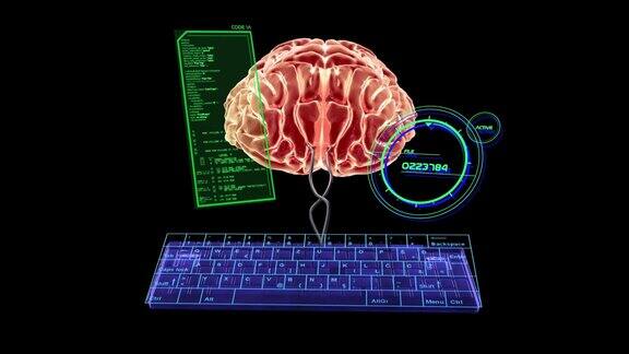 大脑计算机接口