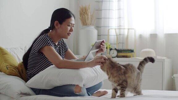 一名亚洲妇女抚摸着一只虎斑猫同时用笔记本电脑进行在线视频通话