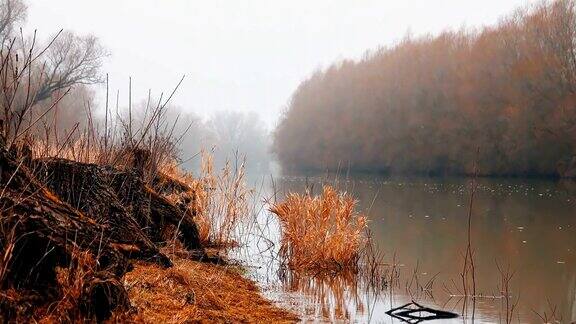 罗马尼亚多瑙河三角洲的风景