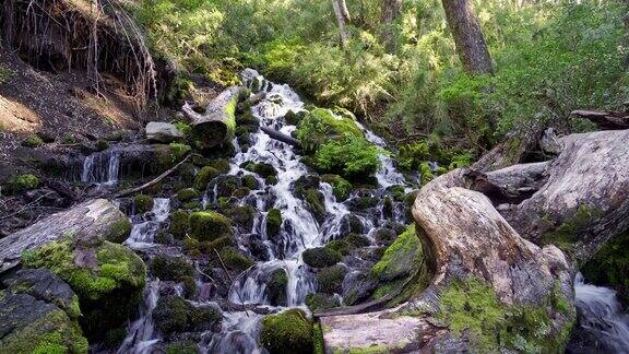 孔吉里奥国家公园的南洋杉森林的瀑布