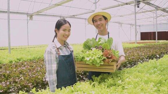 在温室里种植绿色沙拉和蔬菜园丁们精心照料有机蔬菜农夫拿着泡菜和蔬菜微笑着看着镜头